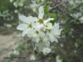 /album/2023-second-trimestre/img-4390-jpg/