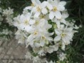 /album/2023-second-trimestre/img-4413-jpg/