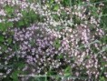 /album/2023-second-trimestre/img-4428-jpg/