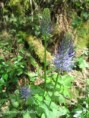 /album/2023-second-trimestre/img-4443-jpg/