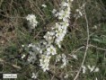 /album/2023-second-trimestre/img-2033-jpg1/
