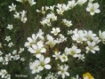 /album/2023-second-trimestre/img-4693-jpg/