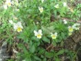 /album/2023-second-trimestre/img-4694-jpg/