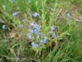 /album/2023-second-trimestre/img-4697-jpg/
