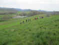 /album/jeudi-03-avril-2025-sur-les-collines-autour-de-charpey-26/img-9295-jpg/