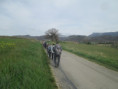 /album/jeudi-03-avril-2025-sur-les-collines-autour-de-charpey-26/img-9301-jpg/