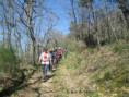 /album/jeudi-10-avril-2025-ravin-de-la-bonnas-et-lac-de-la-jonitine-par-etables-07/img-9342-jpg/