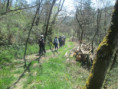 /album/jeudi-10-avril-2025-ravin-de-la-bonnas-et-lac-de-la-jonitine-par-etables-07/img-9349-jpg/