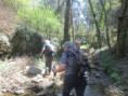 /album/jeudi-10-avril-2025-ravin-de-la-bonnas-et-lac-de-la-jonitine-par-etables-07/img-9360-jpg/