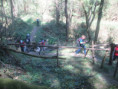 /album/jeudi-10-avril-2025-ravin-de-la-bonnas-et-lac-de-la-jonitine-par-etables-07/img-9363-jpg1/