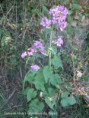 /album/saison-2025/img-9373-jpg/