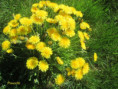/album/saison-2025/img-9382-jpg1/