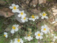 /album/mai2025/img-9550-jpg/
