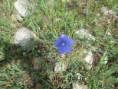 /album/mai2025/img-9552-jpg/