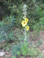 /album/mai2025/img-9566-jpg/