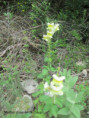 /album/mai2025/img-9593-jpg/