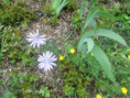 /album/mai2025/img-9616-jpg/