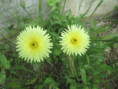 /album/mai2025/img-9618-jpg/