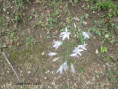 /album/mai2025/img-9619-jpg/