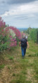 /album/saint-sylvestre-jeudi-5-juin-13-h/img-20250605-wa0013-jpg/