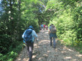 /album/jeudi-19-juin-2025-les-rochers-de-chironne-par-le-col-du-rousset-261/img-9650-jpg1/