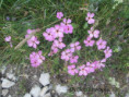 /album/les-rchers-de-gironne-col-du-rousset/img-9724-jpg/