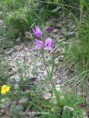 /album/les-rchers-de-gironne-col-du-rousset/img-9732-jpg/