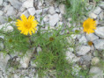 /album/les-rchers-de-gironne-col-du-rousset/img-9739-jpg/