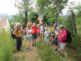 /album/la-croix-perrin-jeudi-26-juin/img-9754-jpg/