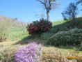 /album/st-sylvestre-jeudi-26-mars-9-h/img-1921-jpg/