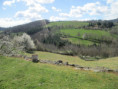 /album/st-sylvestre-jeudi-26-mars-9-h/img-1922-jpg/