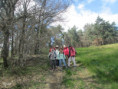/album/st-sylvestre-jeudi-26-mars-9-h/img-1928-jpg/