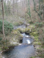 /album/st-sylvestre-jeudi-26-mars-9-h/img-1933-jpg/