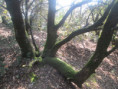 /album/jeudi-2avril-2026-la-beraude-par-le-lac-du-turzon-07/img-1989-jpg/