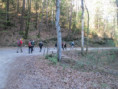 /album/jeudi-09-avril-2026-du-petit-au-grand-pommerolles-26/img-2049-jpg/
