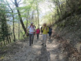 /album/jeudi-09-avril-2026-du-petit-au-grand-pommerolles-26/img-2053-jpg2/