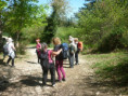 /album/tours-et-bois-st-antoine-jeudi-16-04-26/p1110456-jpg/