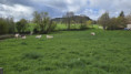 /album/passerelles-du-lignon-jeudi-23-avril-2026/img-20260423-wa0002-jpg/