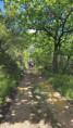 /album/sainte-croix-jeudi-7-mai-9-h/img-20260507-wa0008-jpg/