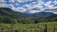 /album/sainte-croix-jeudi-7-mai-9-h/img-20260507-wa0014-jpg/