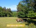 /album/boffres-jeudi-21-mai-13-h/20260521-171837-jpg/
