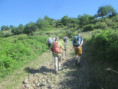 /album/jeudi-28-mai-2026-a-8-heurs-le-volcan-de-chirouze-par-pranles-07-s/img-2409-jpg/