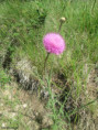 /album/jeudi-28-mai-2026-a-8-heurs-le-volcan-de-chirouze-par-pranles-07-s/img-2410-jpg/