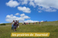 /album/tourniol-11-juin-13/20260611-143357-jpg/