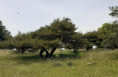 /album/tourniol-11-juin-13/img-20260607-wa0000-jpg/