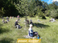 /album/tourniol-11-juin-13/img-20260611-wa0000-jpg/