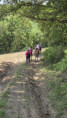 /album/st-sylvestre-jeudi-11-juin-9-h/img-20260611-wa0019-jpg/