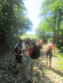/album/jeudi-18-juin-2026-sortie-rando-resto-au-carnotzet-col-du-rousset-26/img-2513-jpg/
