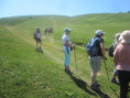 /album/jeudi-18-juin-2026-sortie-rando-resto-au-carnotzet-col-du-rousset-26/img-2515-jpg/